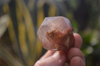 Natural Red Hematoid Quartz Crystals x 35 From Karoi, Zimbabwe