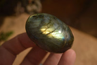 Polished  Flashy Labradorite Palm Stones  x 12 From Tulear, Madagascar