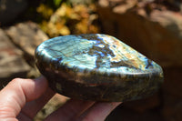 Polished Labradorite Standing Free Forms With Intense Blue & Gold Flash x 3 From Sakoany, Madagascar - TopRock