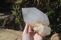 Polished Large Clear Quartz Crystal x 1 From Madagascar