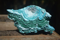 Natural Blue Chrysocolla On Silky Malachite Matrix Specimens x 2 From Kulukuluku, Congo - Toprock Gemstones and Minerals 