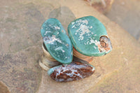 Polished XX Rare Green Chrome / Emerald Chrysoprase Free Forms   x 12 From Zimbabwe - TopRock