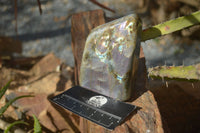 Polished Rare Purple Flash Labradorite Standing Free Forms  x 3 From Tulear, Madagascar