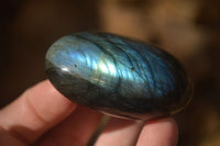 Polished  Flashy Labradorite Palm Stones  x 12 From Tulear, Madagascar