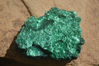 Natural Chatoyant Silky Malachite Specimens  x 4 From Kasompe, Congo - Toprock Gemstones and Minerals 