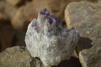 Natural Sugar Amethyst Clusters  x 6 From Solwezi, Zambia