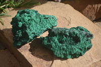 Natural Chatoyant Silky Malachite Specimens  x 2 From Kasompe, Congo - Toprock Gemstones and Minerals 