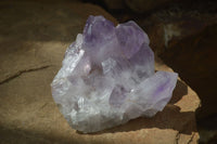 Natural Jacaranda Amethyst Clusters  x 2 From Zambia - Toprock Gemstones and Minerals 