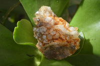 Natural Limonite Quartz Clusters x 24 From Solwezi, Zambia