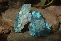 Natural Rough Shattuckite Cobbed Specimens x 6 From Kaokoveld, Namibia