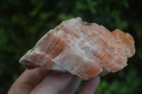 Natural New Sunset Orange Calcite Cubic Specimens  x 3 From Namibia - Toprock Gemstones and Minerals 