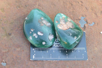 Polished XX Rare Green Chrome / Emerald Chrysoprase Free Forms   x 12 From Zimbabwe - TopRock