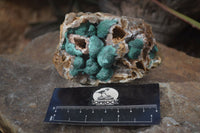 Natural Rare Ball Malachite On Drusy Quartz & Dolomite Specimens x 2 From Kambove, Congo