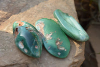 Polished XX Rare Green Chrome / Emerald Chrysoprase Free Forms   x 12 From Zimbabwe - TopRock