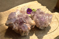 Natural Jacaranda Amethyst Quartz Clusters With Nice Clear Crystals  x 2 From Mumbwe, Zambia - TopRock