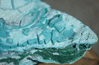 Natural Blue Chrysocolla On Silky Malachite Matrix Specimens x 2 From Kulukuluku, Congo - Toprock Gemstones and Minerals 