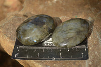 Polished  Flashy Labradorite Palm Stones  x 12 From Tulear, Madagascar