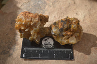 Natural Limonite Quartz Clusters x 24 From Solwezi, Zambia