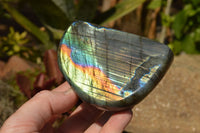 Polished Labradorite Standing Free Forms With Intense Blue & Gold Flash x 3 From Sakoany, Madagascar - TopRock