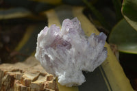 Natural Sugar Amethyst Clusters  x 6 From Solwezi, Zambia