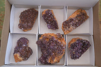 Natural Dark "Amethystos" Amethyst Crystal Plates  x 6 From Kwaggafontein, South Africa - Toprock Gemstones and Minerals 