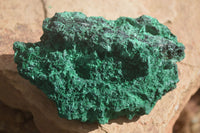 Natural Chatoyant Silky Malachite Specimens  x 2 From Kasompe, Congo - Toprock Gemstones and Minerals 