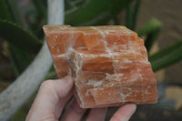 Natural New Sunset Orange Calcite Cubic Specimens  x 6 From Spitzkop, Namibia - Toprock Gemstones and Minerals 