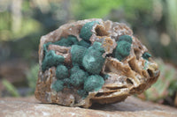 Natural Rare Ball Malachite On Drusy Quartz & Dolomite Specimens x 2 From Kambove, Congo