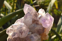 Natural Jacaranda Amethyst Quartz Clusters  x 2 From Mumbwe, Zambia - TopRock