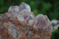 Natural Sugar Amethyst Clusters  x 4 From Zambia - Toprock Gemstones and Minerals 