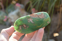 Polished XX Rare Green Chrome / Emerald Chrysoprase Free Forms   x 12 From Zimbabwe - TopRock