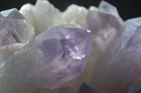 Natural Jacaranda Amethyst Clusters  x 2 From Zambia - Toprock Gemstones and Minerals 