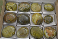 Polished Green Opal Palm Stones  x 6 From Madagascar - TopRock