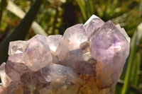 Natural Jacaranda Amethyst Quartz Clusters  x 2 From Mumbwe, Zambia - TopRock