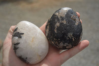 Polished Tourmalinated Quartz Standing Free Forms  x 4 From Namibia - TopRock