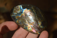 Polished  Flashy Labradorite Palm Stones  x 12 From Tulear, Madagascar