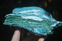 Natural Blue Chrysocolla On Silky Malachite Matrix Specimens x 2 From Kulukuluku, Congo - Toprock Gemstones and Minerals 