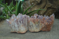 Natural Sugar Amethyst Clusters  x 4 From Zambia - Toprock Gemstones and Minerals 