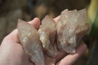 Natural White Phantom Smokey Quartz Crystal Specimens  x 12 From Luena, Congo - Toprock Gemstones and Minerals 