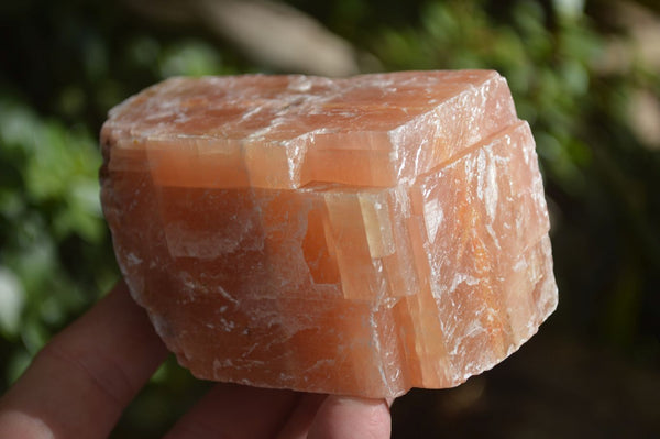 Natural New Sunset Orange Calcite Specimens  x 5 From Spitzkop, Namibia