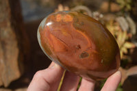 Polished Polychrome Jasper Standing Free Forms  x 3 From Mahajanga, Madagascar