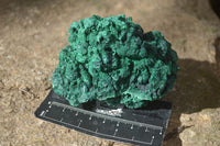 Natural Chatoyant Silky Malachite Specimens  x 4 From Kasompe, Congo - Toprock Gemstones and Minerals 