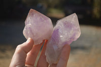 Natural Single Jacaranda Amethyst Crystals x 12 From Mumbwe, Zambia