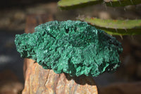 Natural Chatoyant Silky Malachite Specimens  x 2 From Kasompe, Congo - Toprock Gemstones and Minerals 