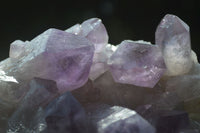 Natural Jacaranda Amethyst Clusters  x 2 From Zambia - Toprock Gemstones and Minerals 