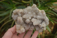 Natural Spirit Quartz Clusters x 2 From Boekenhouthoek, South Africa