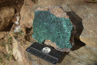 Natural Crystalline Malachite Specimens  x 2 From Congo