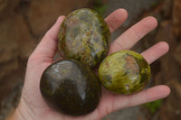 Polished Green Opal Palm Stones  x 6 From Madagascar - TopRock