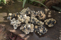 Natural Schorl Black Tourmaline Specimens x 12 From Erongo, Namibia