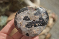 Polished Tourmalinated Quartz Standing Free Forms  x 4 From Namibia - TopRock